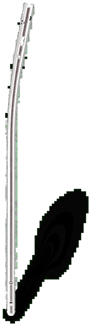 Expert® Tibia Nailing System
