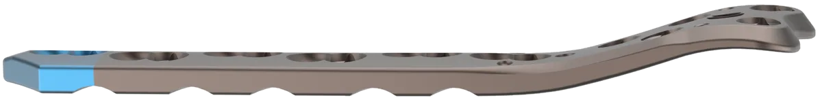 Condylar Femur Plate (LISS)