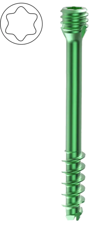 Herbert Screw – Star Head (cannulated, Torx)